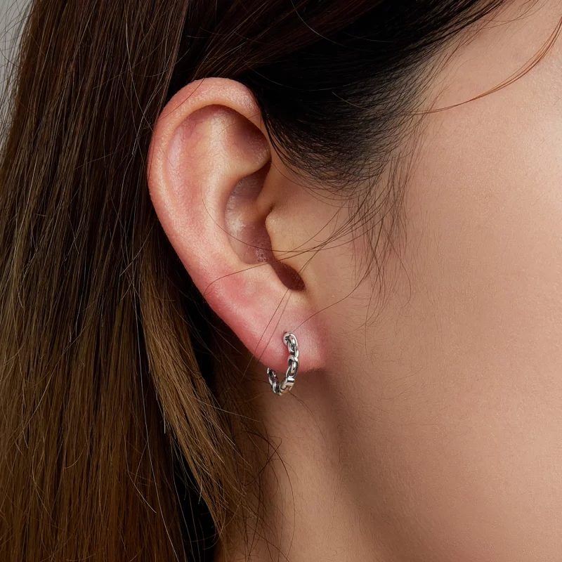 (image pour) Boucles d'oreilles en forme de cercle torsadé de style Pandora - SCE1432 - Afficher 5