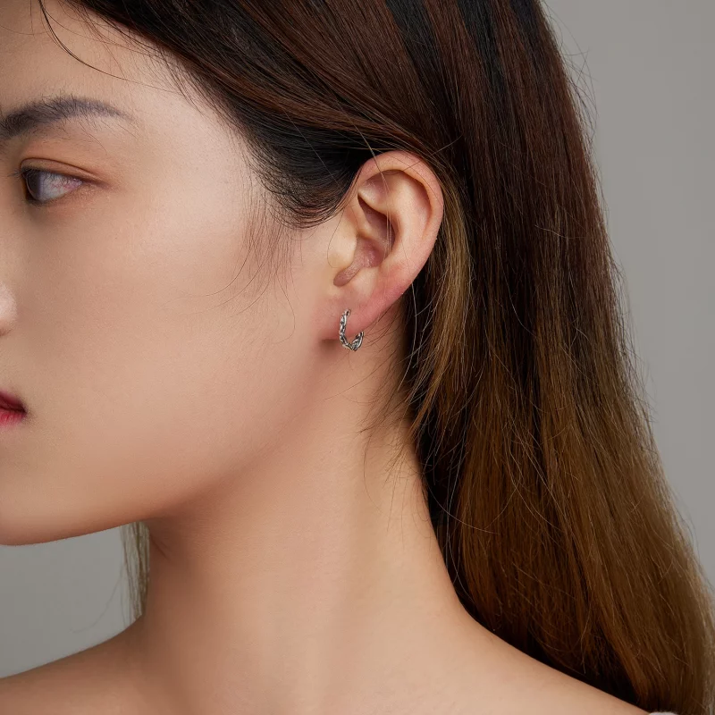 (image pour) Boucles d'oreilles en forme de cercle torsadé de style Pandora - SCE1432 - Afficher 7
