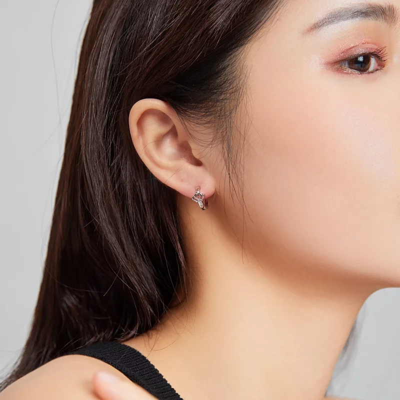 (image pour) Boucles d'oreilles en forme de couronne de style Pandora - SCE1040 - Afficher 7