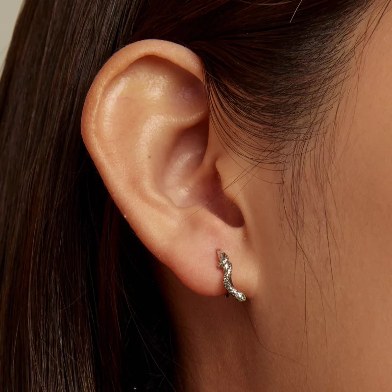 (image pour) Boucles d'oreilles serpent esprit de style Pandora - SCE1357 - Afficher 5