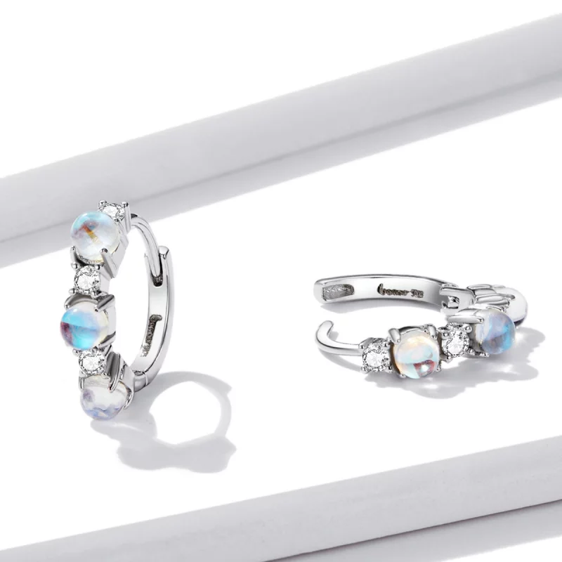 (image pour) Boucles d'oreilles simples de style Pandora - BSE532 - Afficher 3