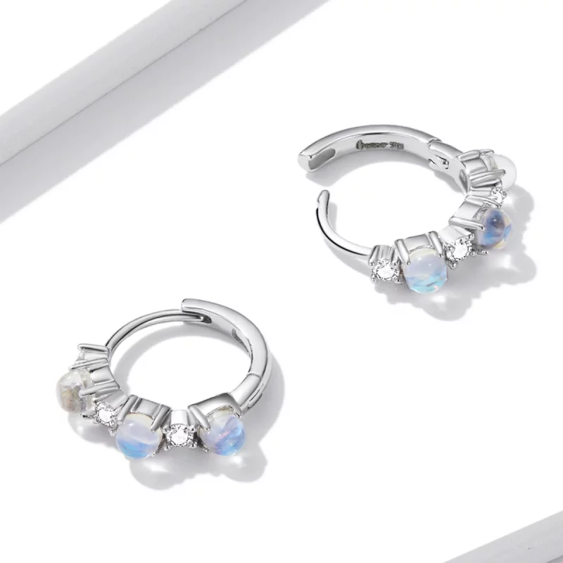 (image pour) Boucles d'oreilles simples de style Pandora - BSE532 - Afficher 4