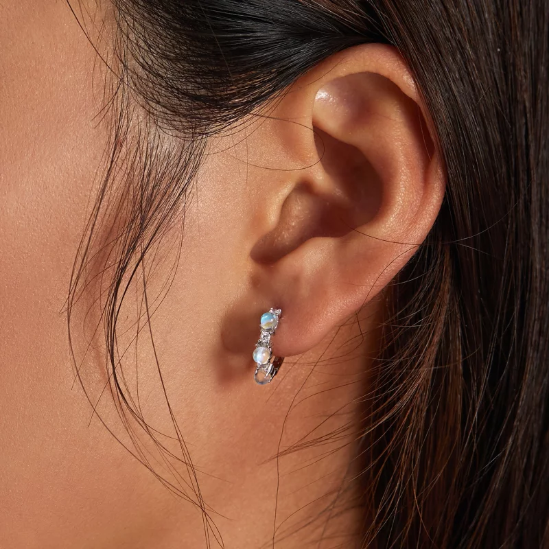 (image pour) Boucles d'oreilles simples de style Pandora - BSE532 - Afficher 7
