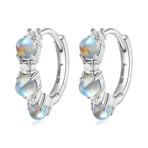 (image pour) Boucles d'oreilles simples de style Pandora - BSE532