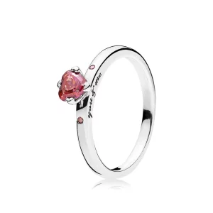 (image pour) Bague You & Me PANDORA France - 196574CZRMX