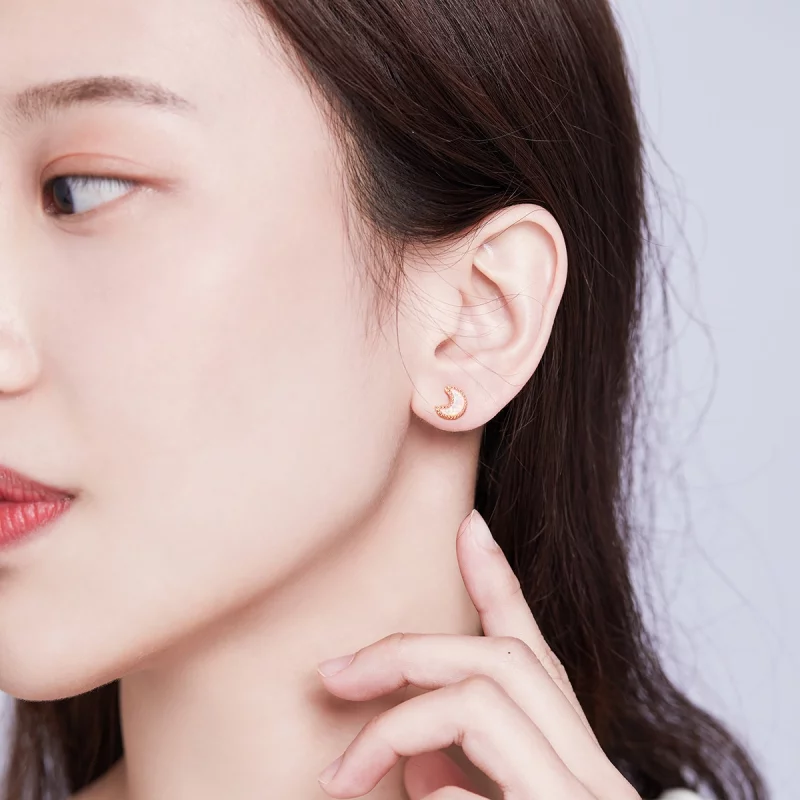 (image pour) Boucles d'oreilles à clous asymétriques de style Pandora avec lune - SCE691 - Afficher 6
