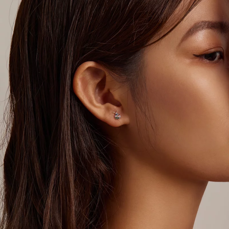 (image pour) Boucles d'oreilles clous colorées de style Pandora avec un scarabée - BSE560 - Afficher 7