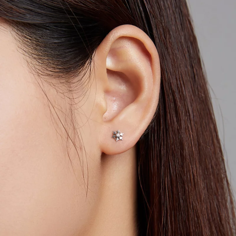 (image pour) Boucles d'oreilles clous de style Pandora magnifiques flocons de neige - BSE529 - Afficher 6