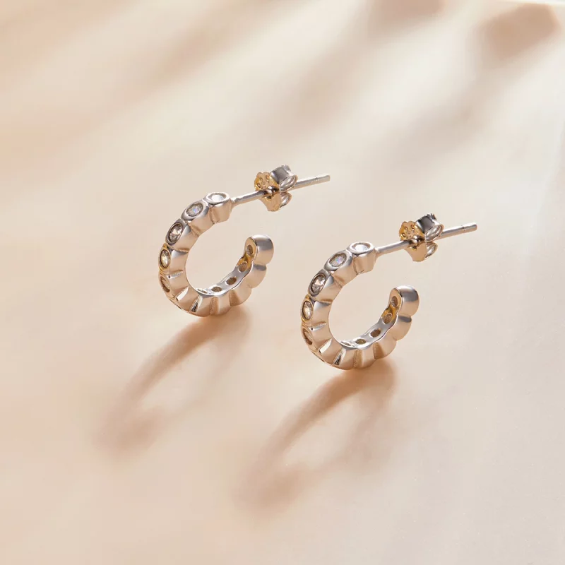 (image pour) Boucles d'oreilles à clous de style Pandora - SCE1175-A - Afficher 2