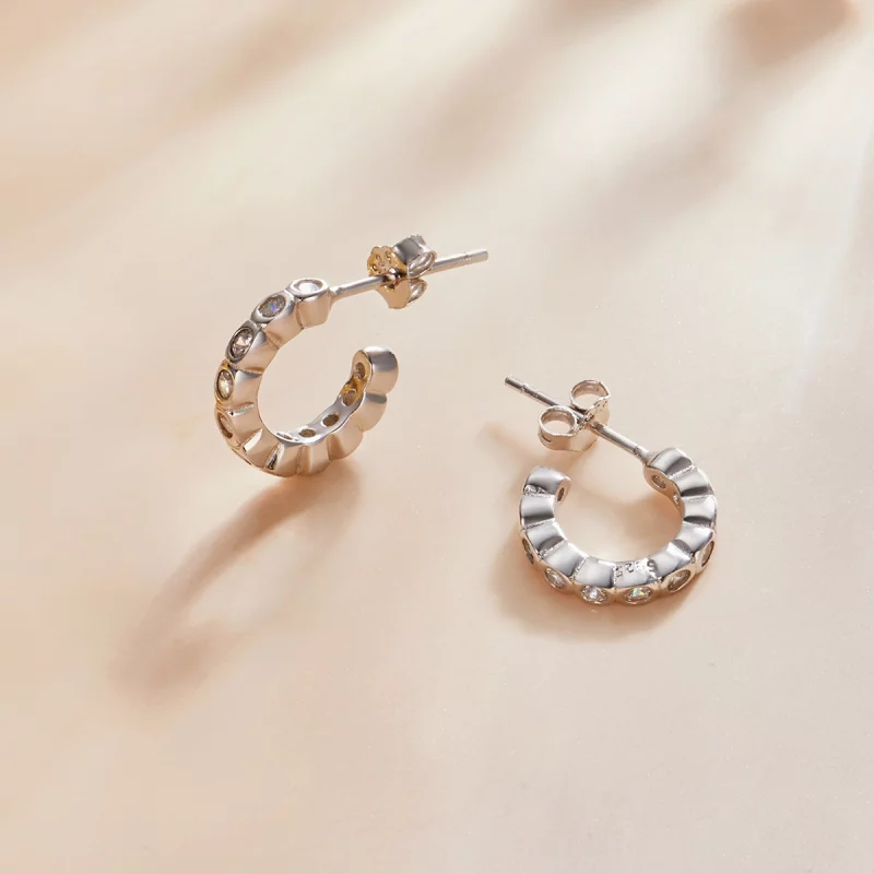 (image pour) Boucles d'oreilles à clous de style Pandora - SCE1175-A - Afficher 3