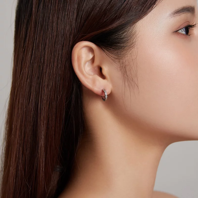 (image pour) Boucles d'oreilles à clous de style Pandora - SCE1175-A - Afficher 5