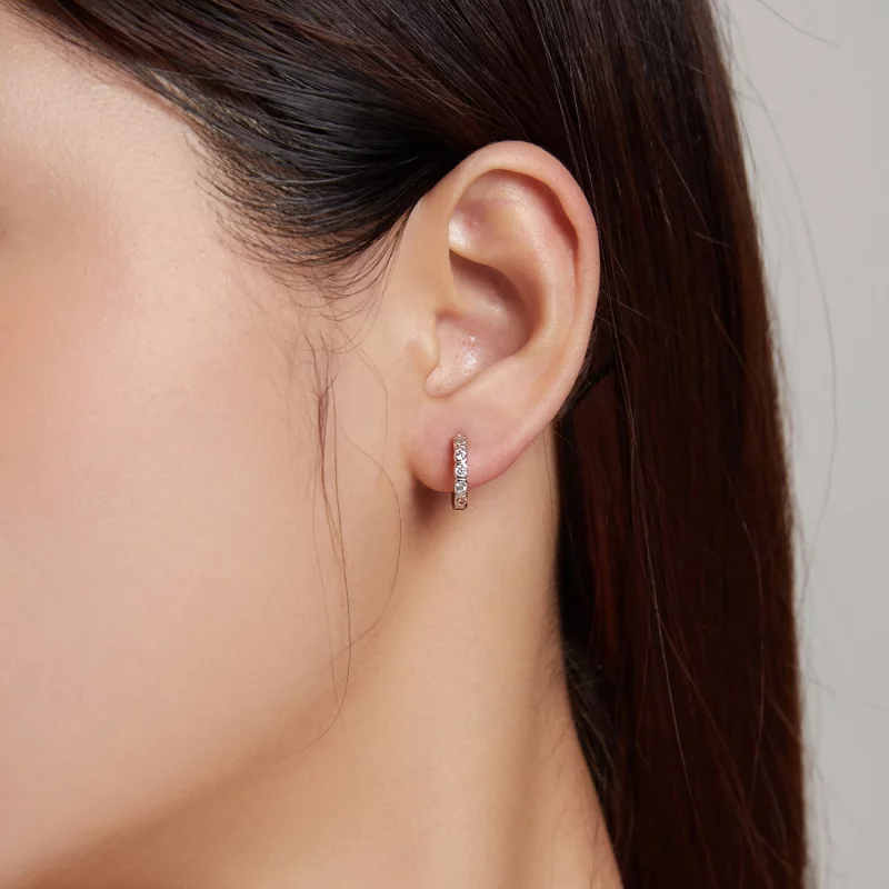 (image pour) Boucles d'oreilles à clous de style Pandora - SCE1175-A - Afficher 6