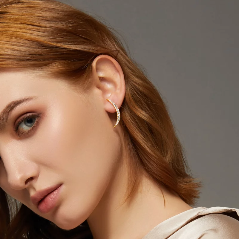 (image pour) Boucles d'oreilles clous en forme de croissant de lune de style Pandora - BSE314 - Afficher 8