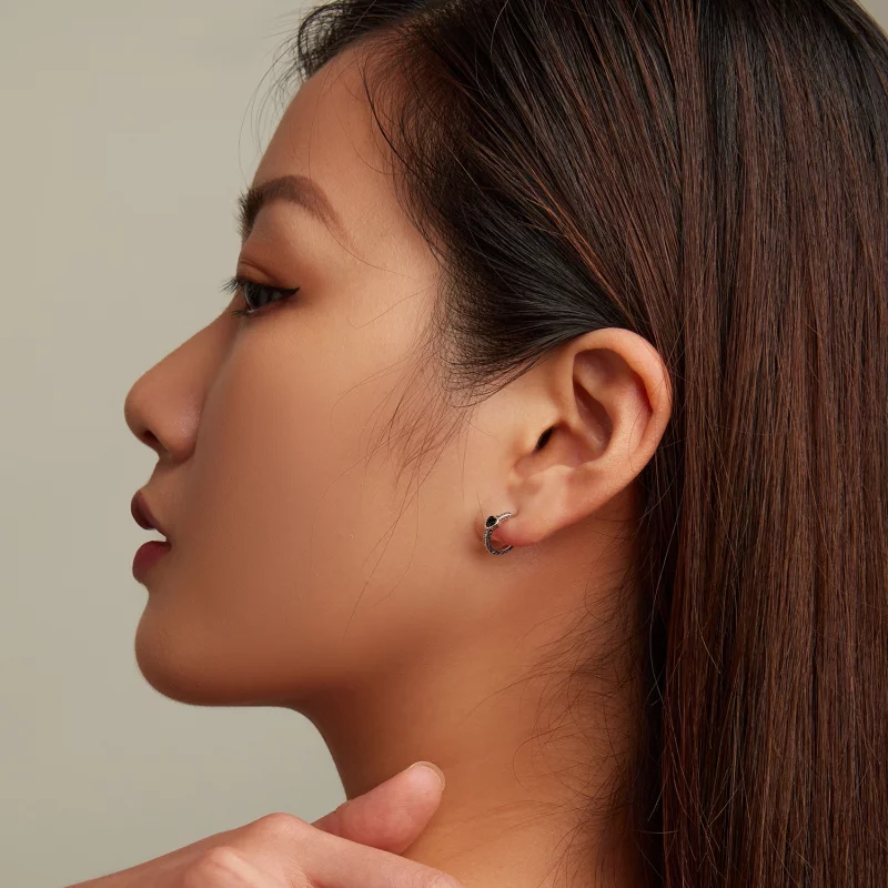 (image pour) Boucles d'oreilles à clous en zircone noire vintage de style Pandora - SCE1520 - Afficher 7