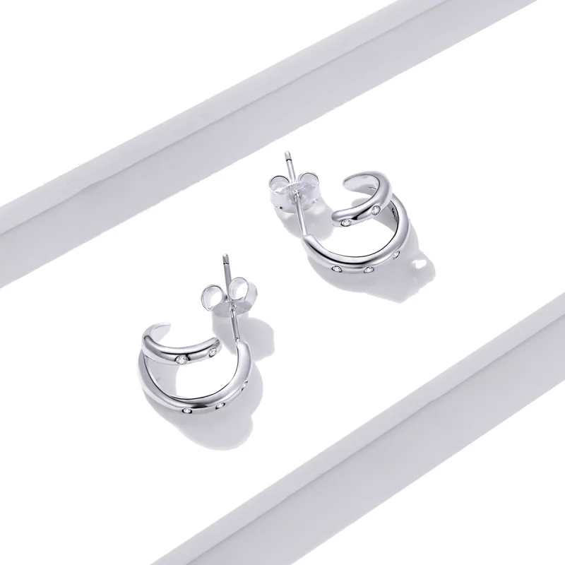 (image pour) Boucles d'oreilles à double cercle style Pandora - BSE494 - Afficher 3