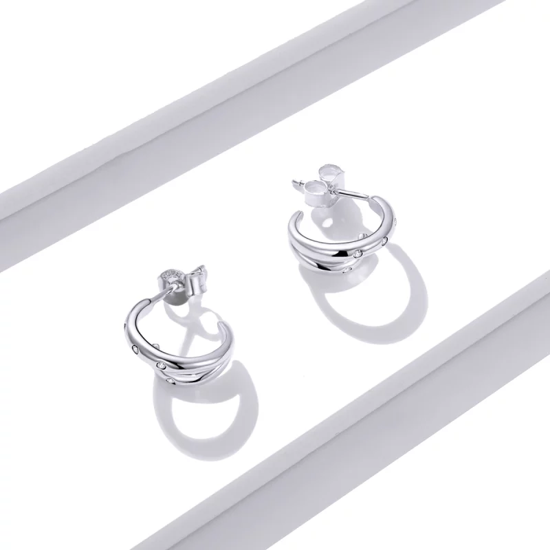 (image pour) Boucles d'oreilles à double cercle style Pandora - BSE494 - Afficher 4