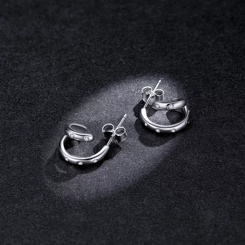 (image pour) Boucles d'oreilles à double cercle style Pandora - BSE494 - Afficher 5
