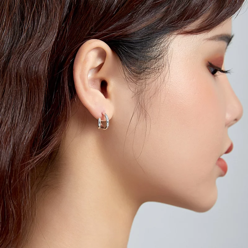 (image pour) Boucles d'oreilles à double cercle style Pandora - BSE494 - Afficher 8