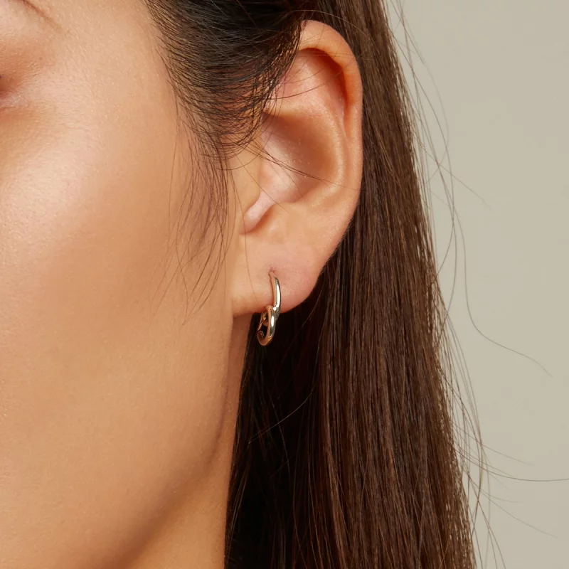 (image pour) Boucles d'oreilles simples en forme de cœur, style Pandora - SCE1333 - Afficher 5
