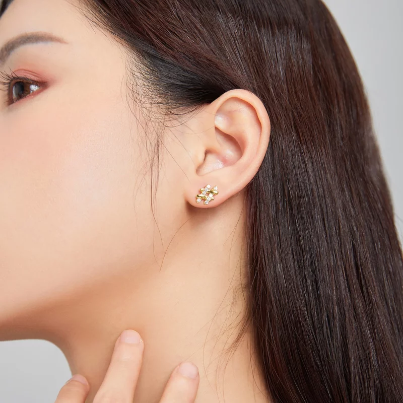 (image pour) Pandora Style Secret Symbol - Boucles d'oreilles à clous - SCE1071 - Afficher 3
