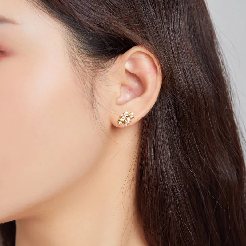 (image pour) Pandora Style Secret Symbol - Boucles d'oreilles à clous - SCE1071 - Afficher 4