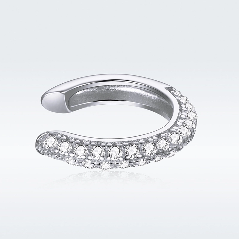 (image pour) Clip d'oreille Simple - SCE996-A